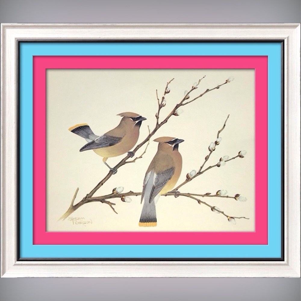 Vintage 1978 "Cedar Waxwings Birds" Art Print